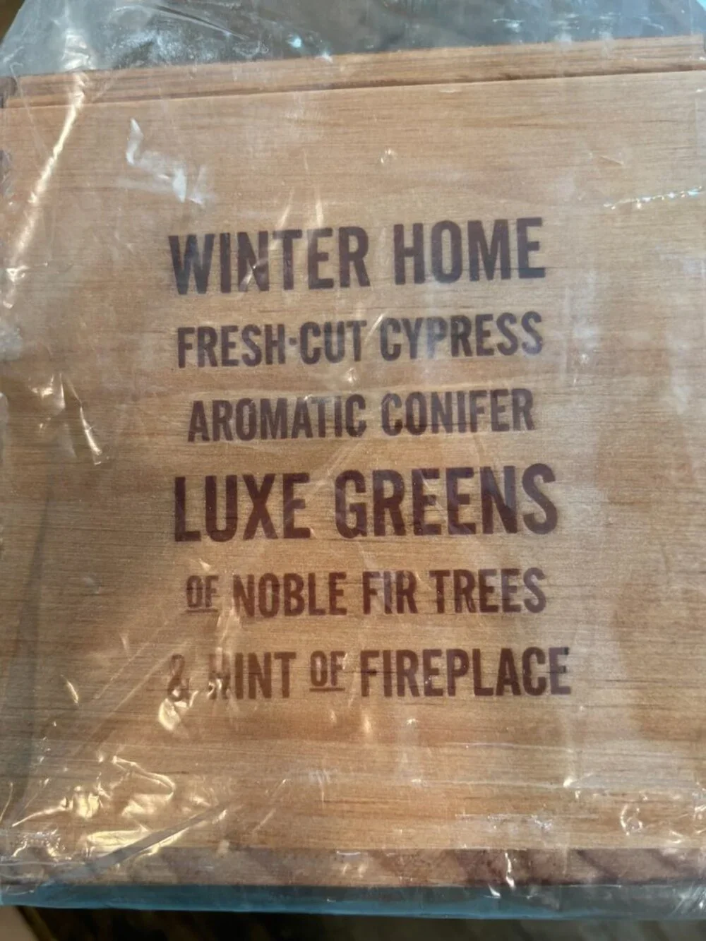Restoration Hardware Winter Home Filled Candle - Large - unopened